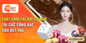 Luật Chơi Tài Xỉu Cơ Bản Tại Các Sòng Bạc Cho Bet Thủ